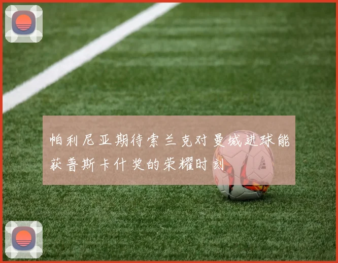 帕利尼亚期待索兰克对曼城进球能获普斯卡什奖的荣耀时刻